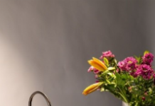 Planning to Upgrade Your Kitchen? These Water Purifiers Should Be on Your Radar