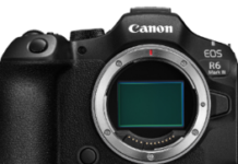 Celebrating Every Perspective Through Every Frame: Marking World Photography Day with Canon